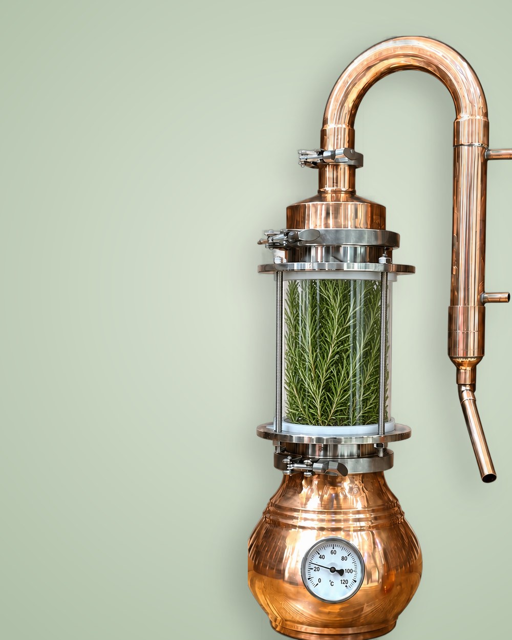 Distilling rosemary at home